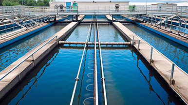 Z6集团新材料股份有限公司